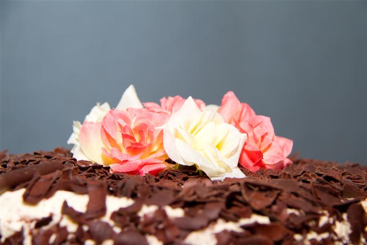 speciality-cakes-3